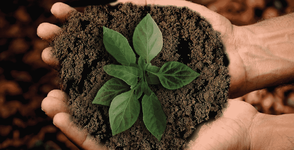 land/someone holding soil in their hands