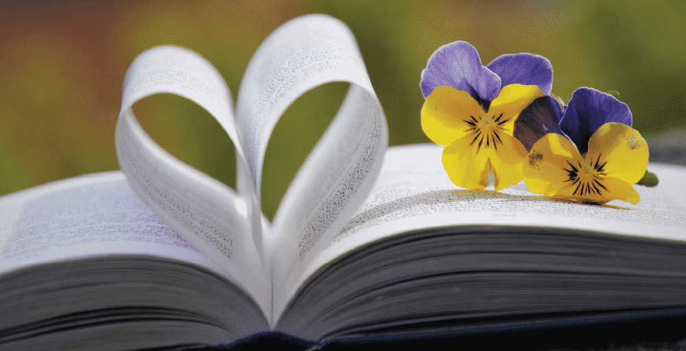Open book with pages in shape of heart with yellow and purple flowers