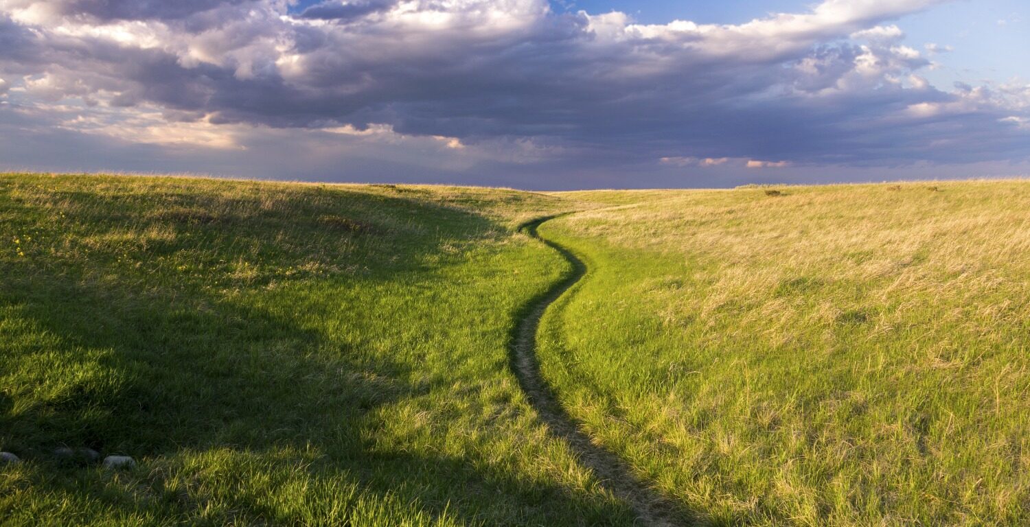 PATHWAY IN A FIELD