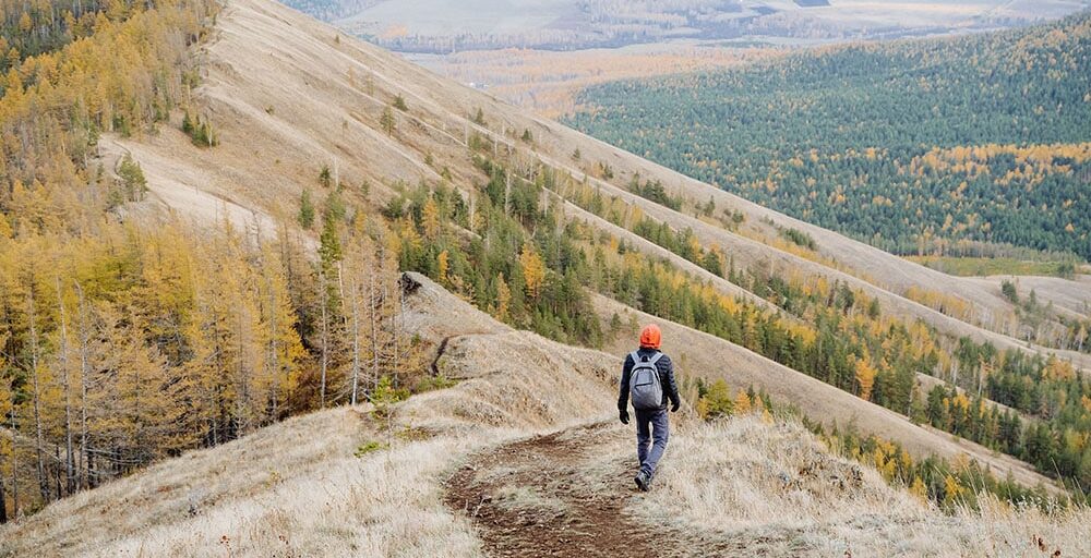 A hiker with a backpack walks alone along a mountain trail. Autumn time in hilly foothills, Rear view of man walking down the mountain.