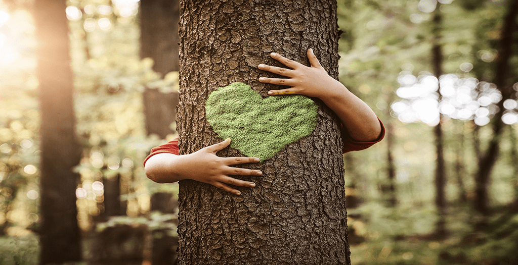 arms hug the trunk of a tree that has a green heart in the middle with trees in the background