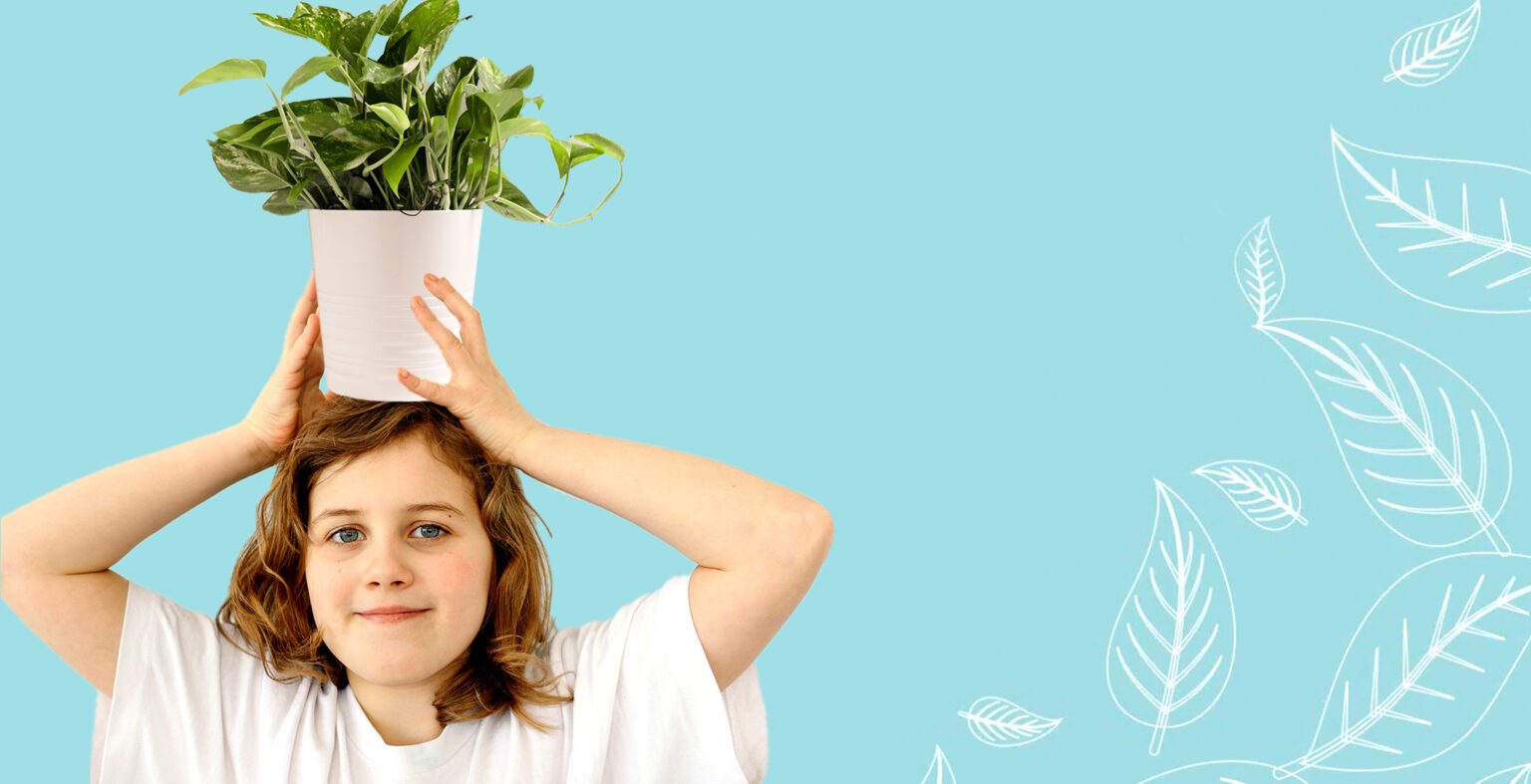 plants